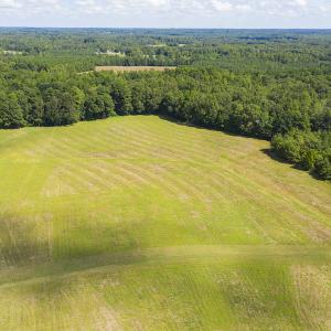 Photo #3 of SOLD property in Off John Lewis Road, Burlington, NC 10.0 acres