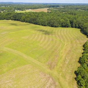 Photo #4 of SOLD property in Off John Lewis Road, Burlington, NC 10.0 acres