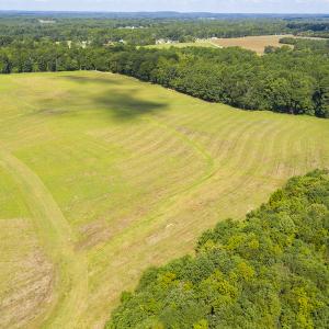 Photo #5 of SOLD property in Off John Lewis Road, Burlington, NC 10.0 acres