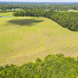 Photo #6 of SOLD property in Off John Lewis Road, Burlington, NC 10.0 acres