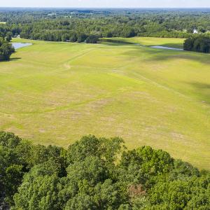 Photo #8 of SOLD property in Off John Lewis Road, Burlington, NC 10.0 acres