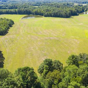Photo #10 of SOLD property in Off John Lewis Road, Burlington, NC 10.0 acres