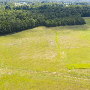 Photo #11 of SOLD property in Off John Lewis Road, Burlington, NC 10.0 acres