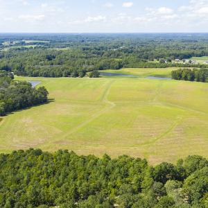 Photo #13 of SOLD property in Off John Lewis Road, Burlington, NC 10.0 acres