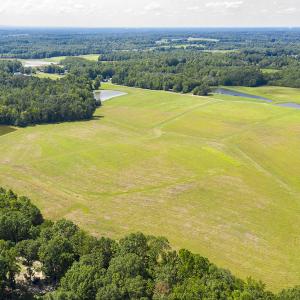 Photo #14 of SOLD property in Off John Lewis Road, Burlington, NC 10.0 acres
