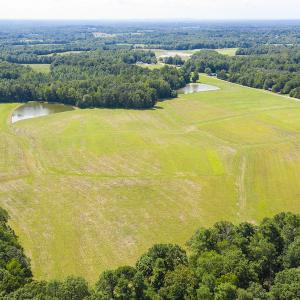 Photo #15 of SOLD property in Off John Lewis Road, Burlington, NC 10.0 acres