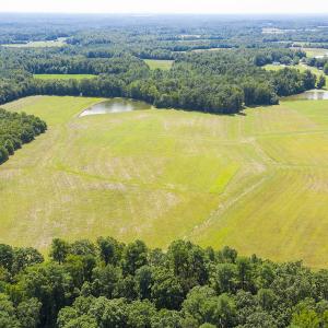 Photo #16 of SOLD property in Off John Lewis Road, Burlington, NC 10.0 acres
