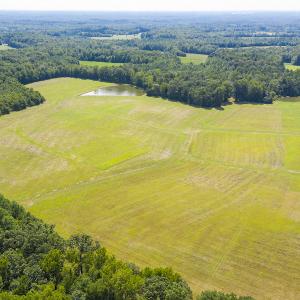 Photo #17 of SOLD property in Off John Lewis Road, Burlington, NC 10.0 acres