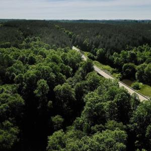 Photo #3 of SOLD property in Off Lewis Ford Road, Brookneal, VA 128.4 acres