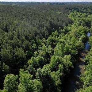 Photo #5 of SOLD property in Off Lewis Ford Road, Brookneal, VA 128.4 acres
