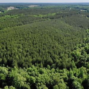 Photo #7 of SOLD property in Off Lewis Ford Road, Brookneal, VA 128.4 acres