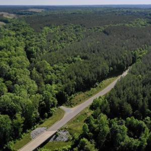 Photo #8 of SOLD property in Off Lewis Ford Road, Brookneal, VA 128.4 acres