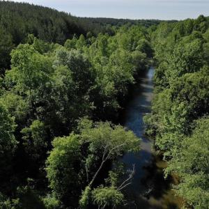 Photo #9 of SOLD property in Off Lewis Ford Road, Brookneal, VA 128.4 acres