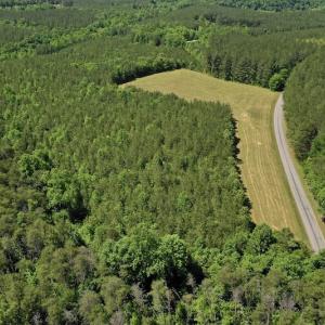 Photo #10 of SOLD property in Off Lewis Ford Road, Brookneal, VA 128.4 acres