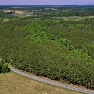 Photo #11 of SOLD property in Off Lewis Ford Road, Brookneal, VA 128.4 acres