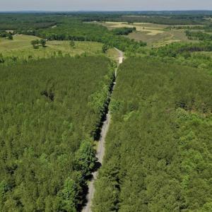 Photo #12 of SOLD property in Off Lewis Ford Road, Brookneal, VA 128.4 acres