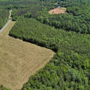 Photo #13 of SOLD property in Off Lewis Ford Road, Brookneal, VA 128.4 acres