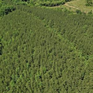 Photo #15 of SOLD property in Off Lewis Ford Road, Brookneal, VA 128.4 acres