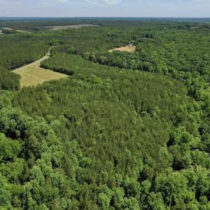 Photo #16 of SOLD property in Off Lewis Ford Road, Brookneal, VA 128.4 acres