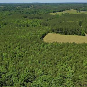 Photo #17 of SOLD property in Off Lewis Ford Road, Brookneal, VA 128.4 acres
