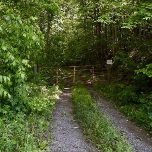 Photo #19 of SOLD property in Off Lewis Ford Road, Brookneal, VA 128.4 acres
