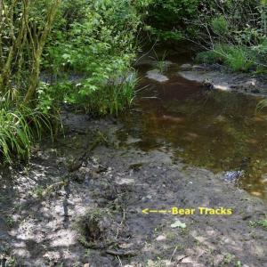 Photo #21 of SOLD property in Off Lewis Ford Road, Brookneal, VA 128.4 acres