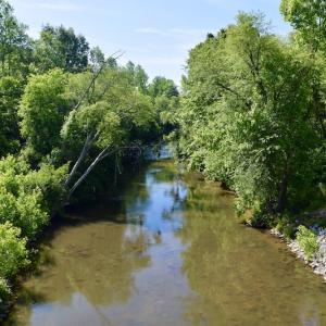 Photo #23 of SOLD property in Off Lewis Ford Road, Brookneal, VA 128.4 acres