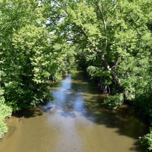 Photo #24 of SOLD property in Off Lewis Ford Road, Brookneal, VA 128.4 acres