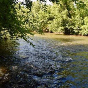 Photo #26 of SOLD property in Off Lewis Ford Road, Brookneal, VA 128.4 acres