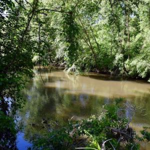 Photo #29 of SOLD property in Off Lewis Ford Road, Brookneal, VA 128.4 acres