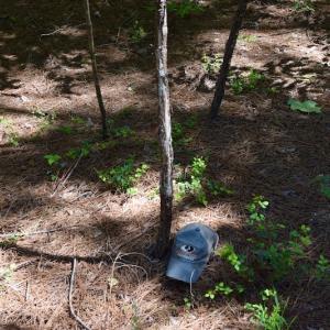 Photo #35 of SOLD property in Off Lewis Ford Road, Brookneal, VA 128.4 acres