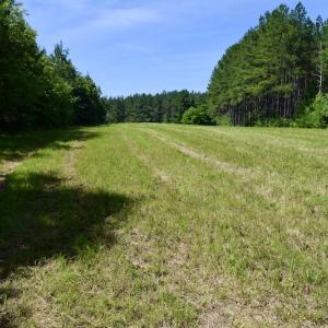 Photo #41 of SOLD property in Off Lewis Ford Road, Brookneal, VA 128.4 acres