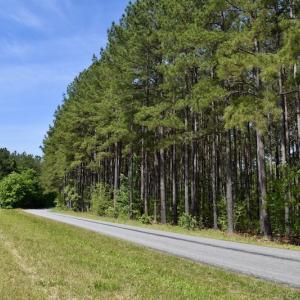 Photo #42 of SOLD property in Off Lewis Ford Road, Brookneal, VA 128.4 acres