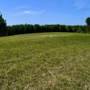Photo #43 of SOLD property in Off Lewis Ford Road, Brookneal, VA 128.4 acres