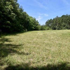 Photo #45 of SOLD property in Off Lewis Ford Road, Brookneal, VA 128.4 acres