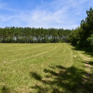 Photo #46 of SOLD property in Off Lewis Ford Road, Brookneal, VA 128.4 acres