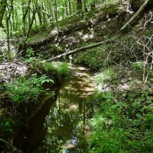 Photo #47 of SOLD property in Off Lewis Ford Road, Brookneal, VA 128.4 acres