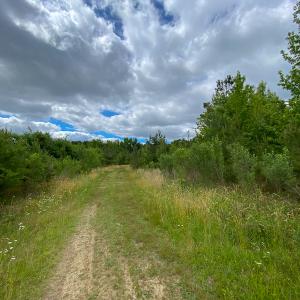 Photo #3 of SOLD property in 396 Raymond Lowery Drive, Roxboro, NC 225.0 acres