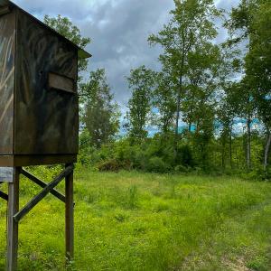 Photo #51 of SOLD property in 396 Raymond Lowery Drive, Roxboro, NC 225.0 acres