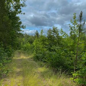 Photo #52 of SOLD property in 396 Raymond Lowery Drive, Roxboro, NC 225.0 acres