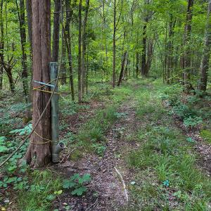 Photo #53 of SOLD property in 396 Raymond Lowery Drive, Roxboro, NC 225.0 acres