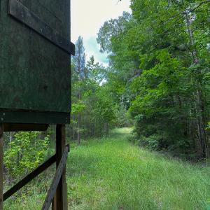 Photo #58 of SOLD property in 396 Raymond Lowery Drive, Roxboro, NC 225.0 acres
