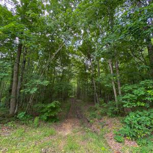 Photo #8 of SOLD property in 396 Raymond Lowery Drive, Roxboro, NC 225.0 acres