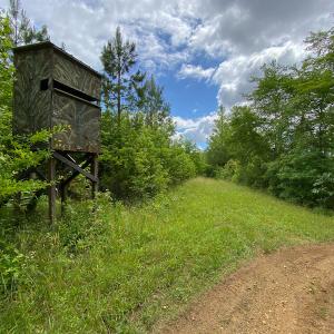 Photo #4 of SOLD property in 396 Raymond Lowery Drive, Roxboro, NC 225.0 acres