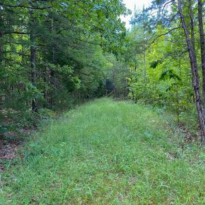 Photo #11 of SOLD property in 396 Raymond Lowery Drive, Roxboro, NC 225.0 acres