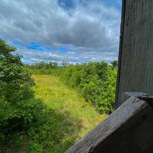 Photo #12 of SOLD property in 396 Raymond Lowery Drive, Roxboro, NC 225.0 acres