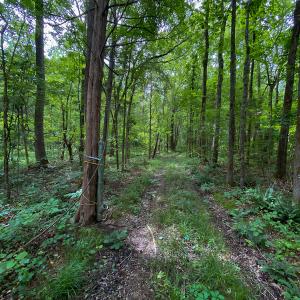 Photo #14 of SOLD property in 396 Raymond Lowery Drive, Roxboro, NC 225.0 acres