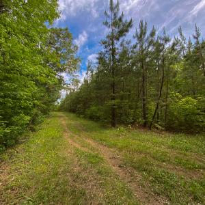 Photo #16 of SOLD property in 396 Raymond Lowery Drive, Roxboro, NC 225.0 acres
