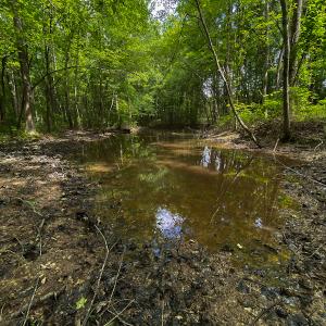 Photo #17 of SOLD property in 396 Raymond Lowery Drive, Roxboro, NC 225.0 acres