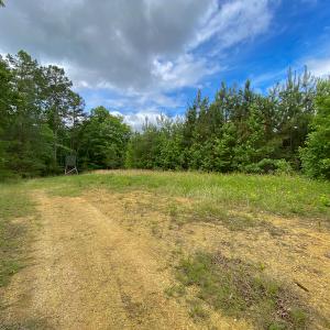 Photo #18 of SOLD property in 396 Raymond Lowery Drive, Roxboro, NC 225.0 acres